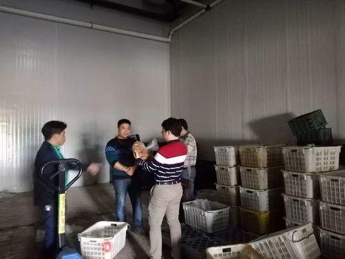 ?？谑乘幈O(jiān)局靠前服務(wù) 以專業(yè)指導(dǎo)賦能合作社農(nóng)產(chǎn)品深加工廠建設(shè)