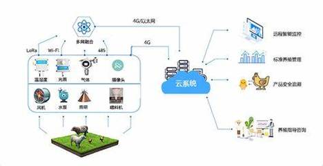 黃辰 以科技賦能智慧農業，做新時代的農業追夢人